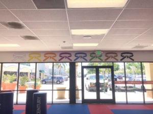 Wall and Window Graphics for Martial Arts Studios